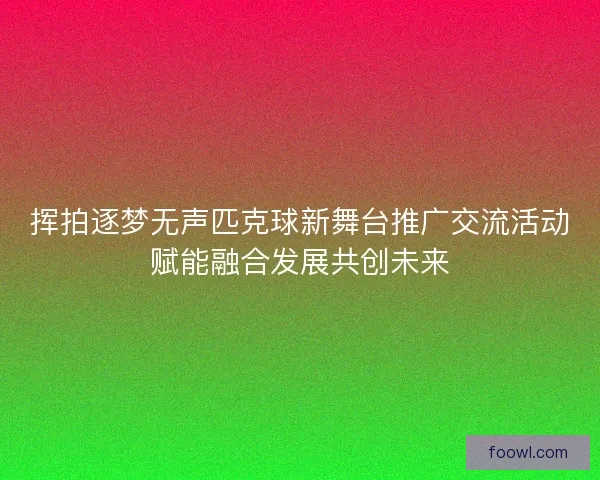 挥拍逐梦无声匹克球新舞台推广交流活动赋能融合发展共创未来