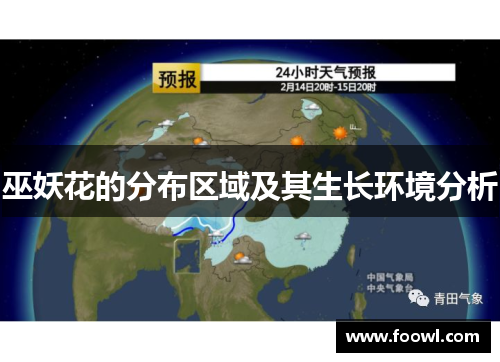 巫妖花的分布区域及其生长环境分析