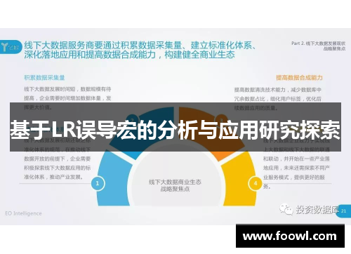 基于LR误导宏的分析与应用研究探索