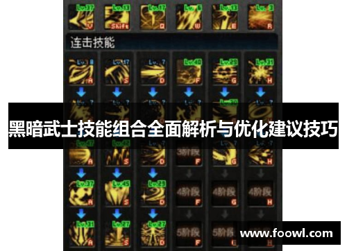 黑暗武士技能组合全面解析与优化建议技巧