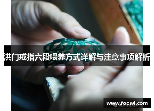 洪门戒指六段喂养方式详解与注意事项解析